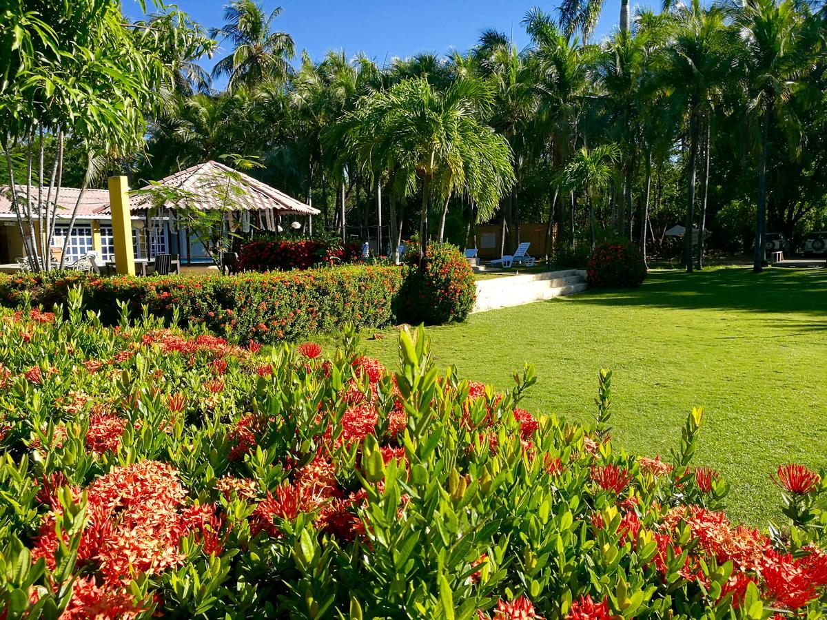 Hotel M&M Garden House Coco Extérieur photo